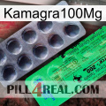 Kamagra100Mg new04